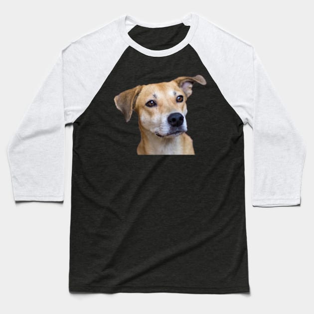 dog Baseball T-Shirt by rickylabellevie